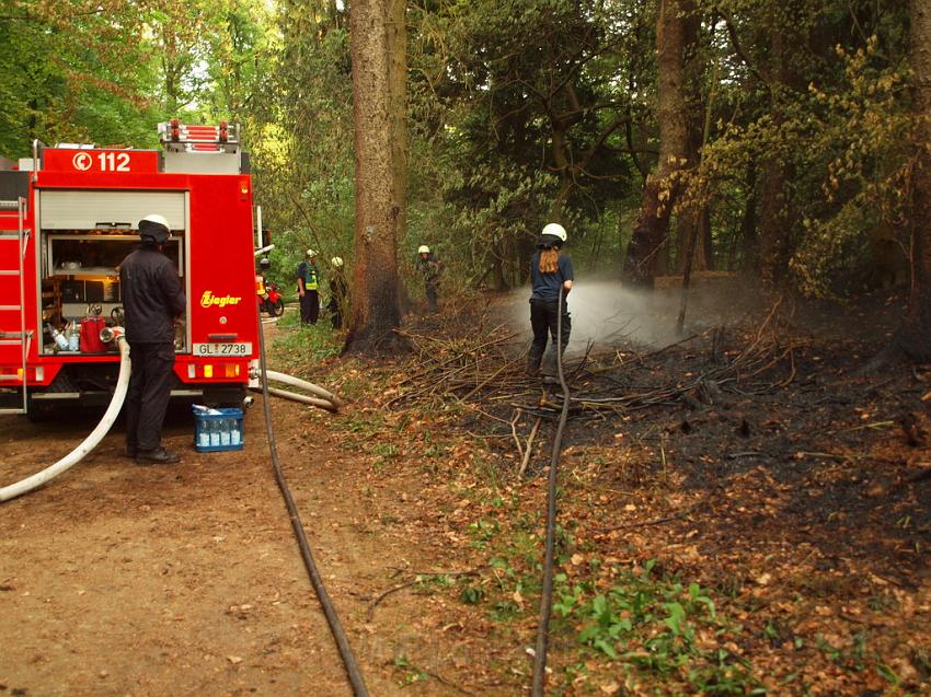 Waldbrand Bergisch Gladbach Bensberg P168.JPG